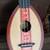 Magic Fluke Ukulele and Gigbag - Concert Size - Made in USA! 5 thumbnail
