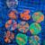 Corals Coral Frags Torch, Hammer, Goni, Brain Corals, Etc 2 thumbnail