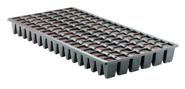 Oasis Wedge Medium with Tray - Partial case 1