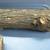 maple figured burl? turning chunks @ 2 other pieces?? 6 thumbnail