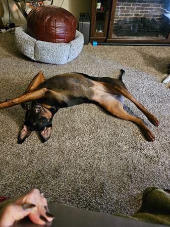 Valkyrie (Elkhart)