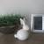 Home Decor 6 thumbnail