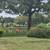 482 Pendleton Place Venice, FL 21 thumbnail