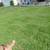 4 Wheel Drive Gas Powered Wheelbarrow for Hire Move Rocks Soil Sod Etc 24 thumbnail