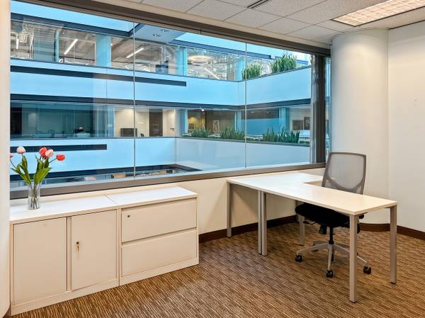 $1,459 Need an office by the Loop? We have the PERFECT one at 203 N. Lasalle! (Chicago)63960012756099120