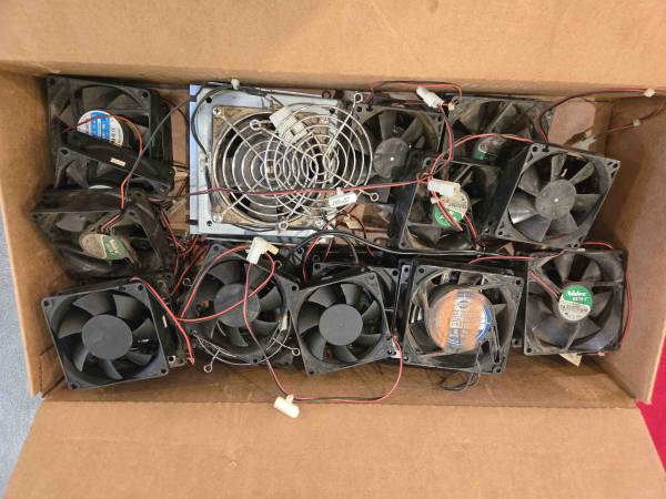 Assorted Fans 1