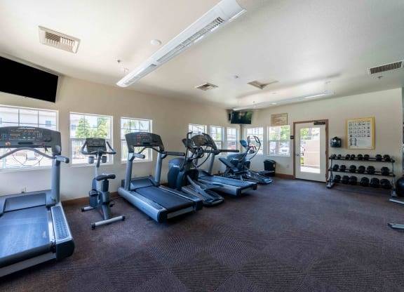 $2,461 / 2br - 800ft2 - Un lugar al que llamar hogar: dos habitaciones, un baño con excelentes comodidades! (1259-205)63663802779521123
