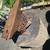 Anvil on stump and blacksmithing tools 5 thumbnail