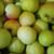 Comice pears and Apples 6 thumbnail