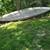 17ft grumman canoe 1 thumbnail