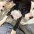Pit /  bully puppy 1 thumbnail