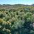 1.83+/- Acres for Sale - Build Your Custom Home 8 thumbnail