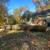 SL landscaping & Tree service 20 thumbnail