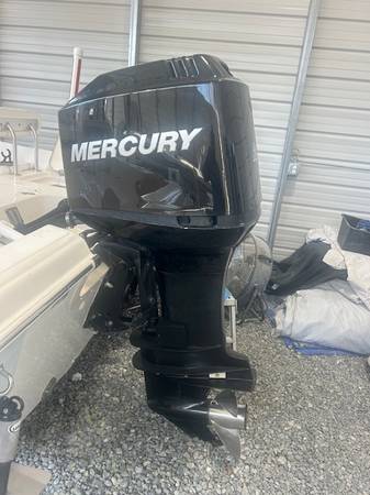 Mercury 225(2004) EFI engin 1