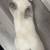 scottish fold kitten for sale 11 thumbnail