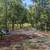 RV or Tiny Home Full hookup site 7 thumbnail