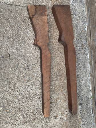 Very old black walnut 1