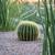 Von's Quality Landscaping - Curb Appeal 9 thumbnail