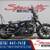 2020 Harley-Davidson Iron 883 Cruiser 1 thumbnail