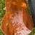 Taylor Gold Label 517E Acoustic Electric Guitar 6 thumbnail