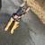 German Shepherd 1 thumbnail