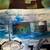 USPS Space Achievement & Exploration Stamp Expo 2000 Poster with Hologram Stamps 4 thumbnail
