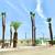Tree & palm services, yard clean ups, artificial grass & pavers 3 thumbnail