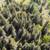 - Price Reduction - Undeveloped view lot 6 thumbnail