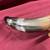 CATTLE HORN MOUNT 9 thumbnail