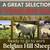 HAMPSHIRE/SUFFOLK YEARLING RAMS 1 thumbnail