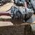 Milwaukee 6052 Heavy Duty Sander, Grinder, Polisher 1 thumbnail