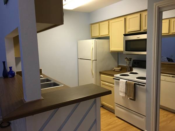 $1,200 / 684ft2 - Condo on the Island (Padre Island)64036536405763120