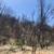 80 Amazing Acres $78,000. 6 thumbnail