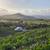 Tasting Room server/social media coordinator for boutique WINERY 1 thumbnail
