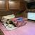 2015 30" spree travel trailer 2 thumbnail