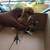 Silkie/Bantam Cross Chicke 5 thumbnail