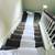Moving in? Moving Out Moving Specials * Carpet Cleaning * 5 thumbnail
