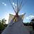 Lodgepole Pine TiPi Poles 17 thumbnail