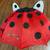 Umbrella ladybug 1 thumbnail