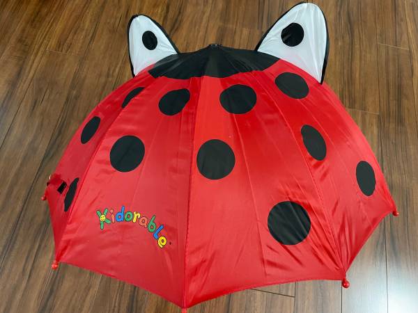 Umbrella ladybug 1