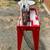 rbi hawk precision scroll saw 220vs 3 thumbnail