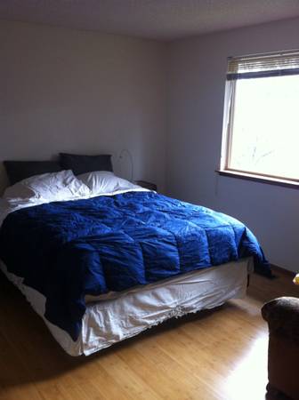 $775 / 1br - Light filled, quiet, low allergen room (West Olympia)63786943688577121