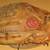 Rawlings Fastback model "Holdster" LH glove 3 thumbnail