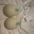 Willow wearable breast pump 1 thumbnail