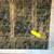 14 lots in Beautiful Idlewild!! 2 thumbnail