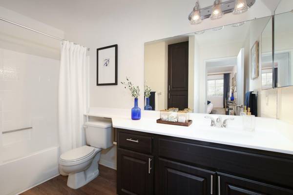 Pet Friendly, Short Term Leases Available 1