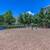 1/bd 1/ba, Vinyl Plank Flooring, In Alexandria 1 thumbnail