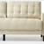 Brand New Couch 1 thumbnail