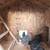 4x8 Chicken Coop 8 thumbnail