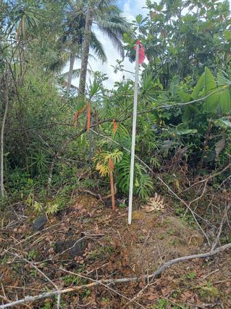 $140,000 3 acres en subdivisión orchidland avenida 38. 1 acre despejado, (keaau)63686710366593122